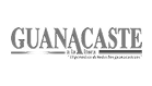 Logo 03